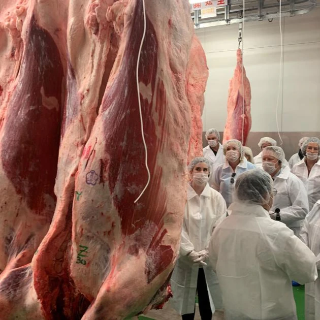 Halal Buffalo Boneless Meat/ Frozen Beef Frozen Beef ,cow meat,Goat beef meat for sale