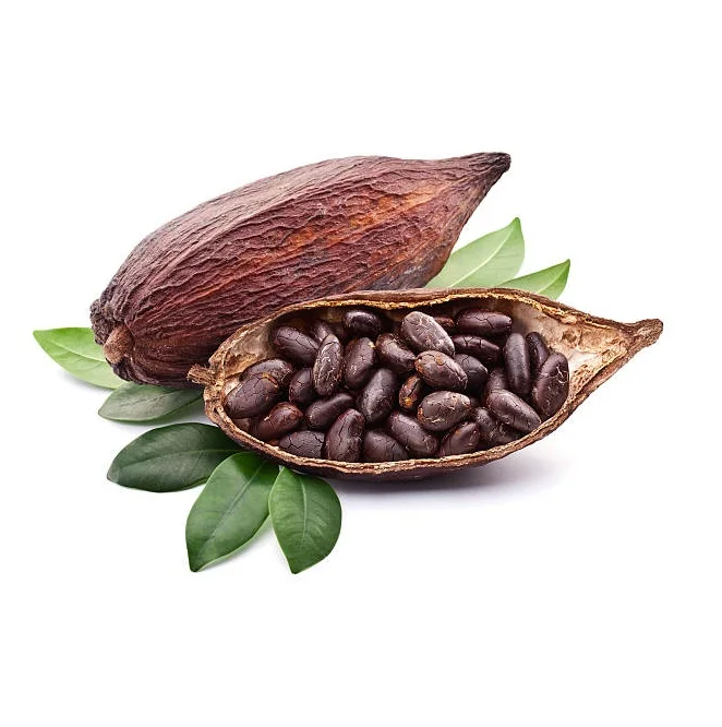 
Best Factory Price Of COCOA BEANS Available In Bulk Stock With Custom Packing 