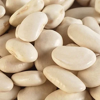 
Large White Kidney Beans/Butter Beans 
