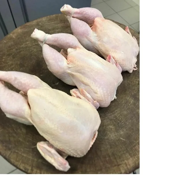 Замороженная куриная грудка сертификат Halal наконечники детали лапы ноги оптом
