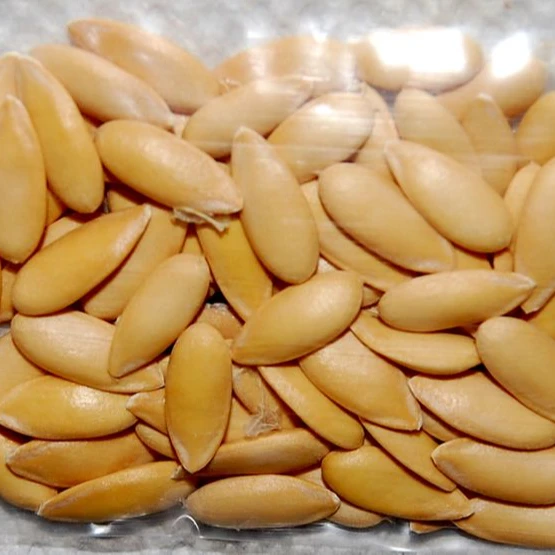 
Egusi Seeds Melon Seeds Dried Melon Seed for Sale 