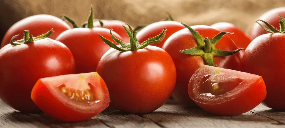 Best Quality Tomatoes For Sale In Cheap Price
