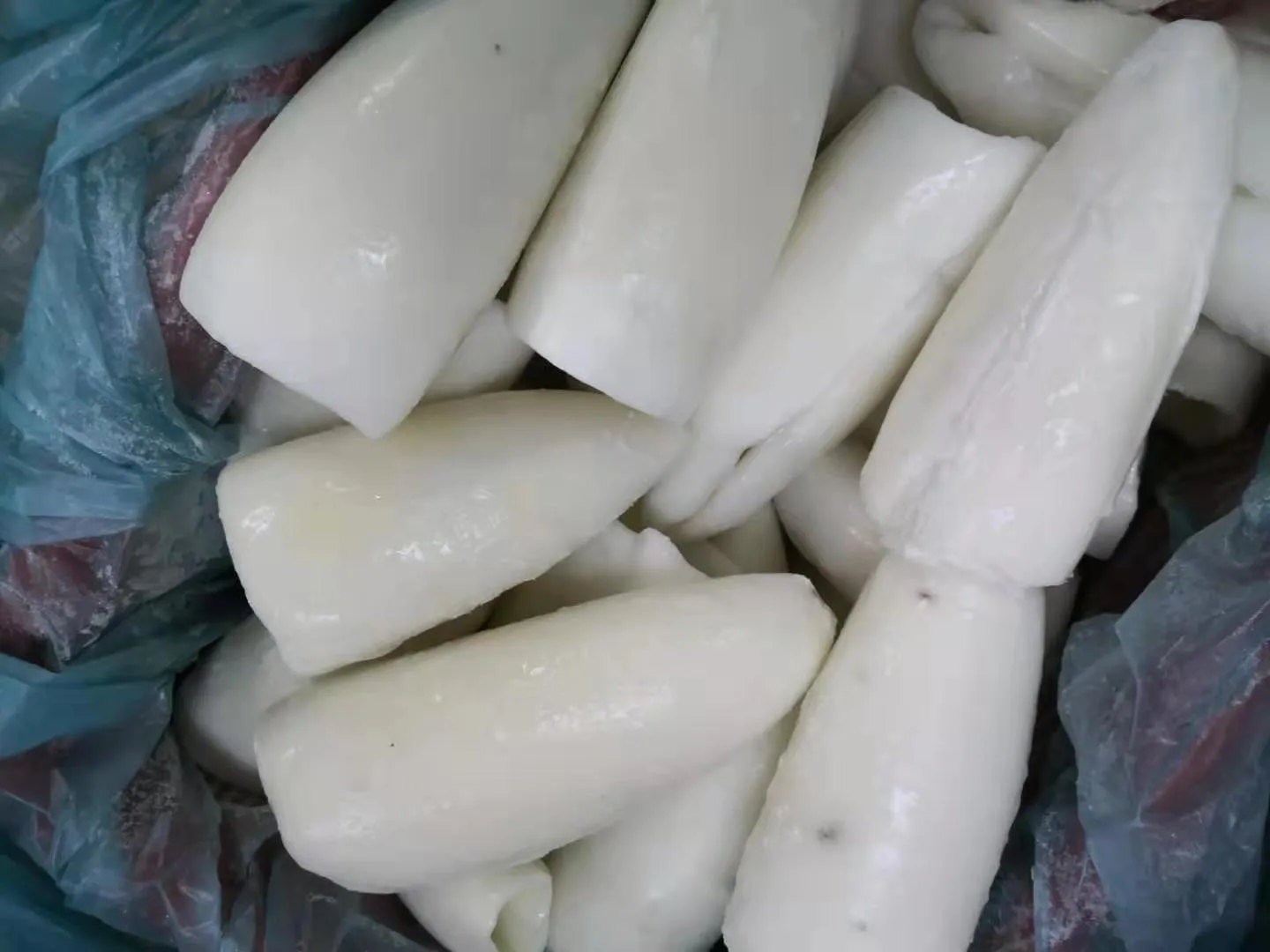 Wholesale Top Grade Frozen Whole Cleaned Cuttlefish Roll IQF With 2 Years Shelf Life From Malaysia