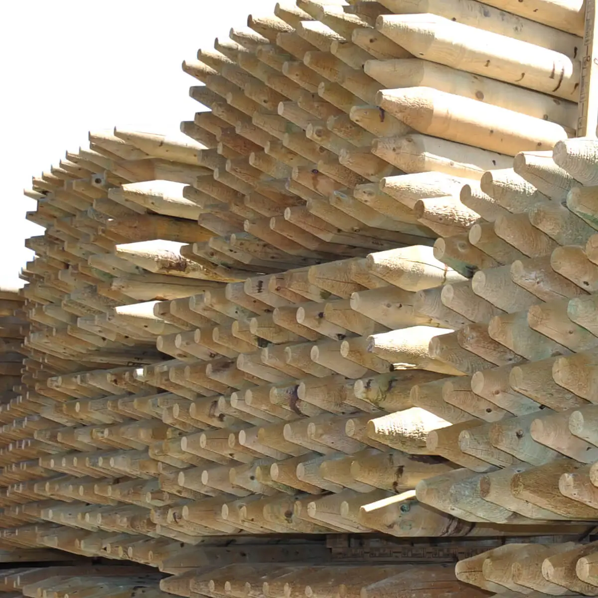 Pine Round Wood Poles