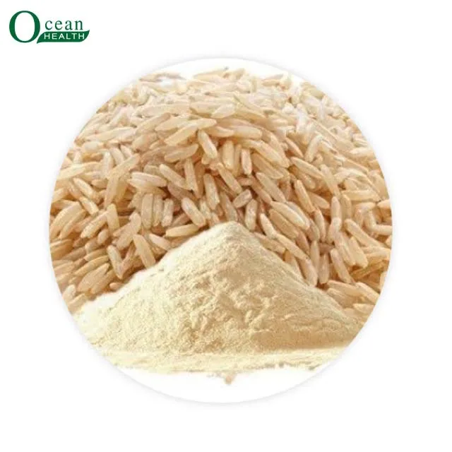 Top sale product  Rice Protein
