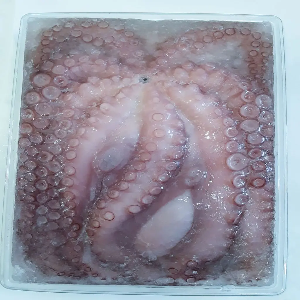 Frozen Whole Cleaned Baby Octopus with Cheap Price
