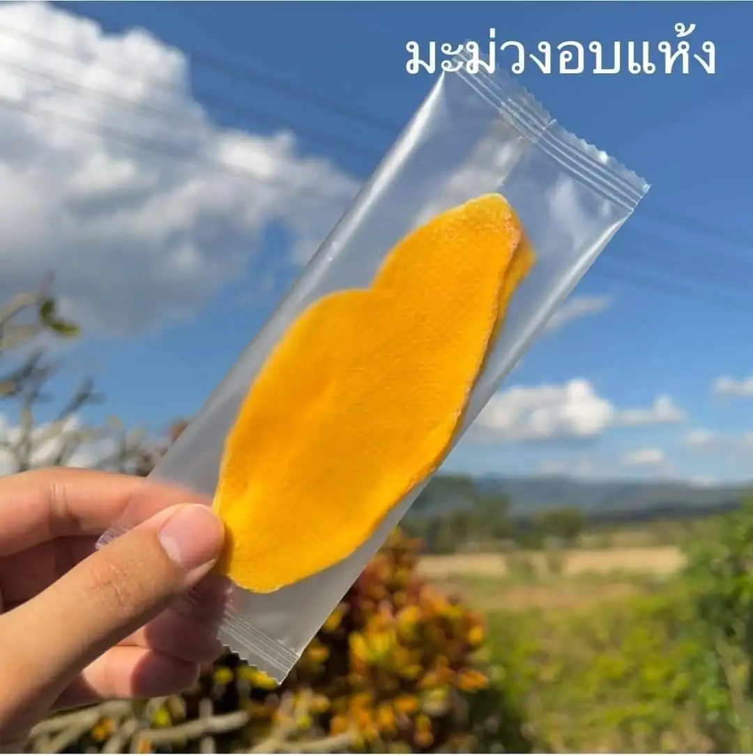 Best Seller High Quality Dried Mango with Packaging Delicious Fruit Product from Thailand