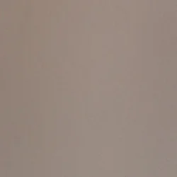 Recessed Toilet brush   Stainless SteelSteel varnished matt visone (mink)