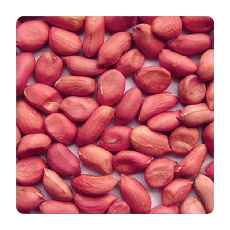 
Bulk Supplier of Wholesale Raw Red Skin Peanuts at Factory Price 