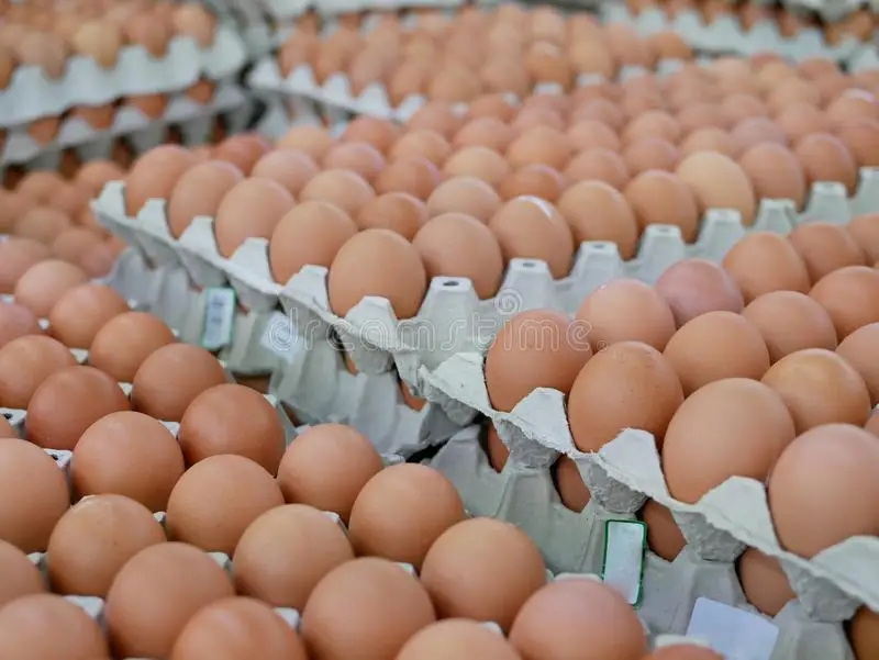 Best Factory Price Of Farm Fresh Eggs Available In Bulk Stock