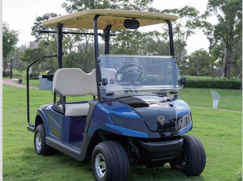 leroad colour optional have sun top and caddie  2 seats lifted electric golf cart high quality