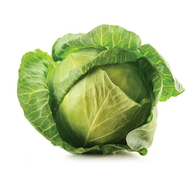 
Bulk Organic Green Round Fresh Vegetables Cabbage 
