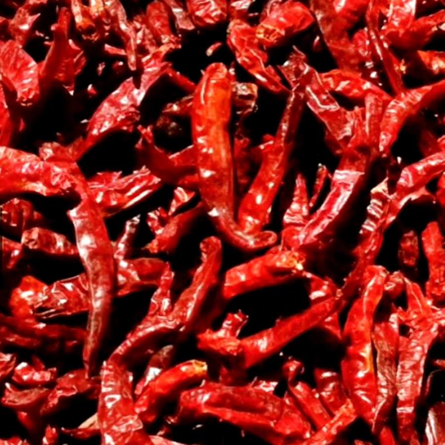 100% Dried Chili No Stems Hight Quality Hot Peppers Spices Sun Dried Whole Chile Pepper stemless Premium Product of Thailand