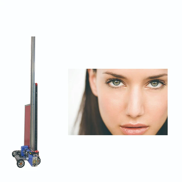 MJ-2000X UV 3D Wall Painting Machine CMYKW Vertical Wall Printer Direct To Wall High Resolution