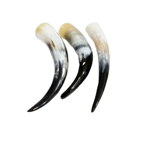 VIKING DRINKING HORN WITH WOLF ENGRAVING HORN STAND WITH BRASS RIM ON TOP