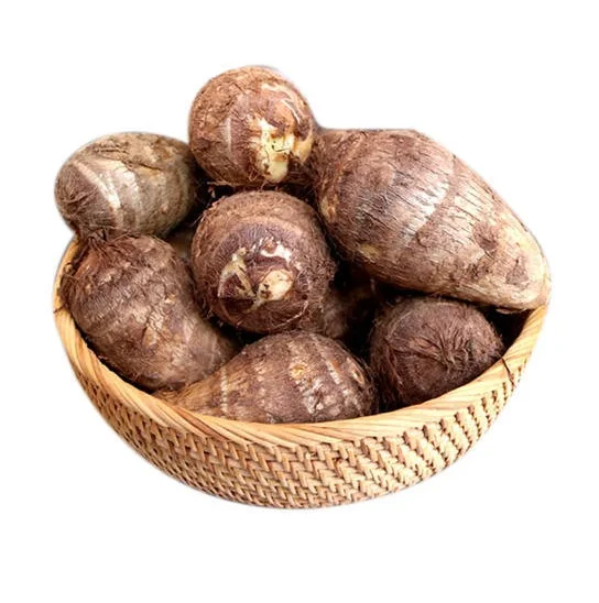 Оптовая цена свежие овощи Taro доступно для продажи большое количество