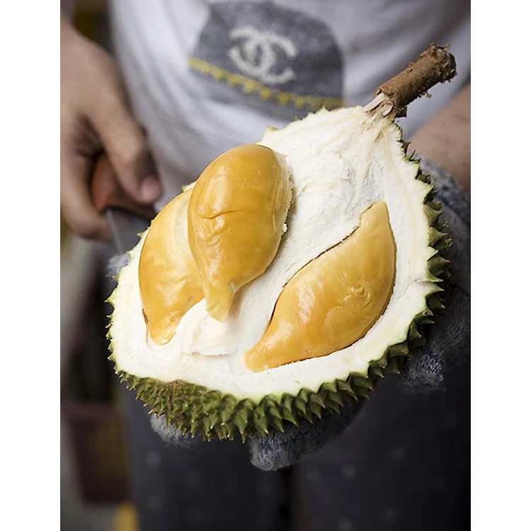 Top Pick Product Durian D13 Fresh Pluck Frozen Durian For Sale From Malaysia Supplier Retail Store Bulk Buy