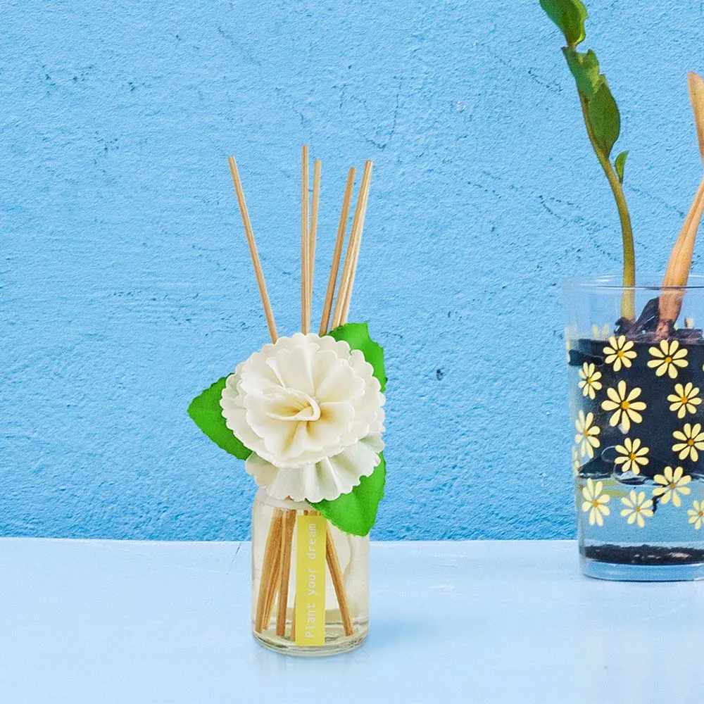 Private Label Air Fragrance Home Fragrance with Homemade Sola Flower Rattan Sticks Glass Bottle 50ml Reed Diffuser