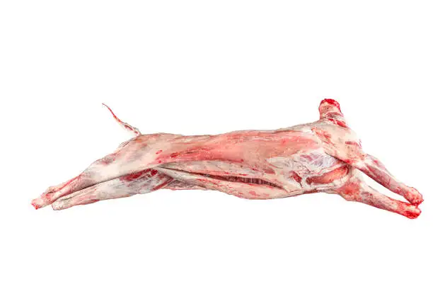 Wholesale Supplier Lambs carcass For Sale In Cheap Price