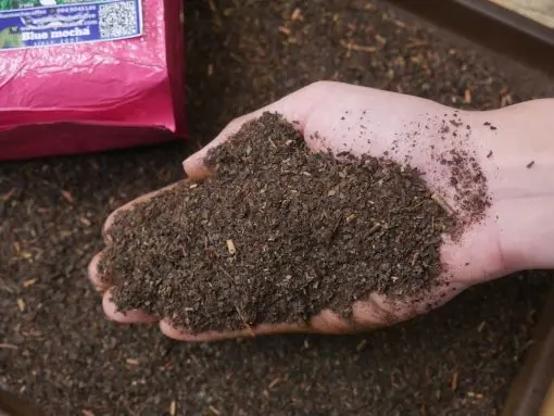 Factory & Wholesale Thai Milk Tea mix, Red Tea, Thai tea powder Bubble Tea Powder Natural Thai Tea OEM Thailand