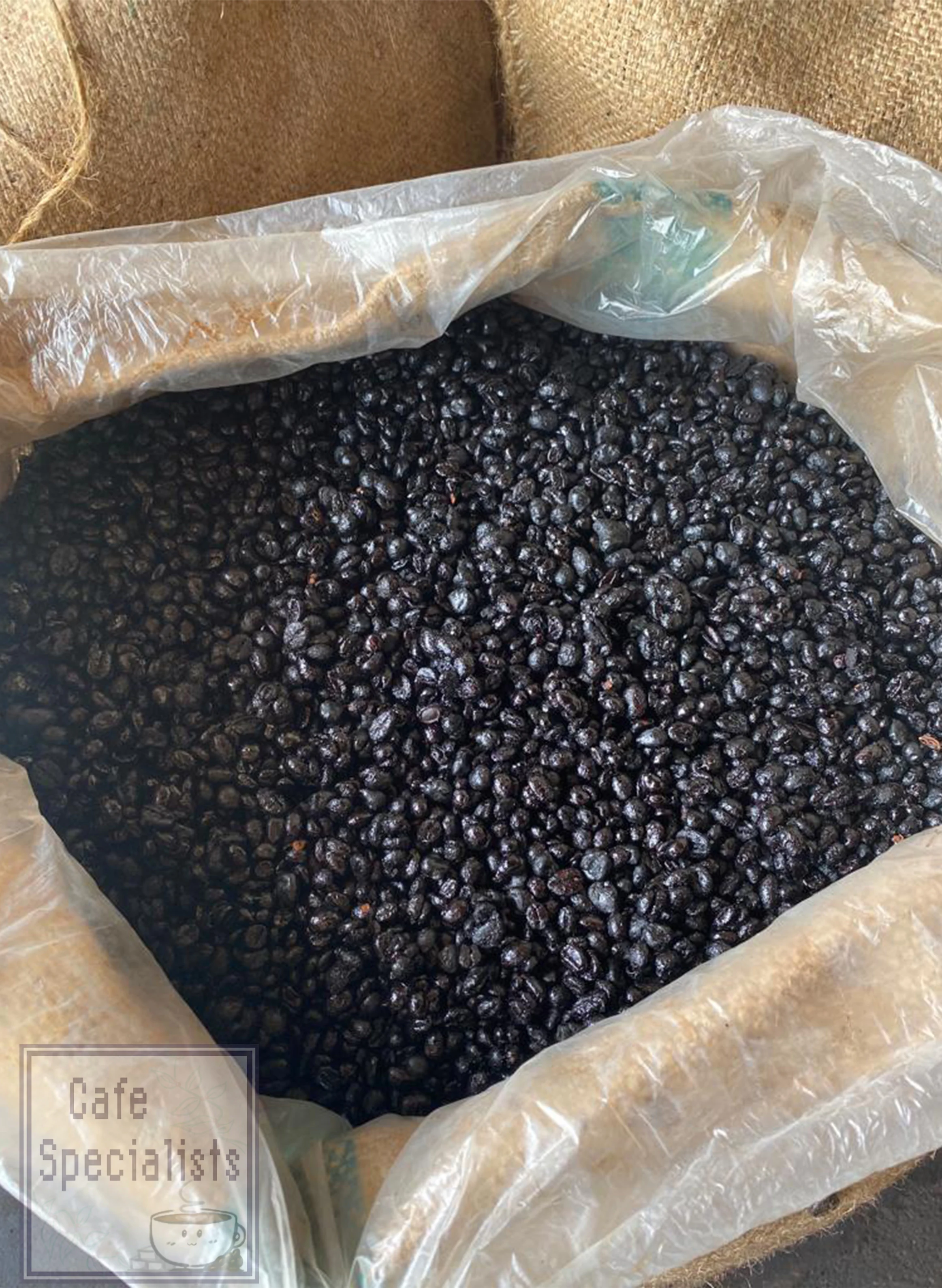 traditional coffee beans_1.jpg