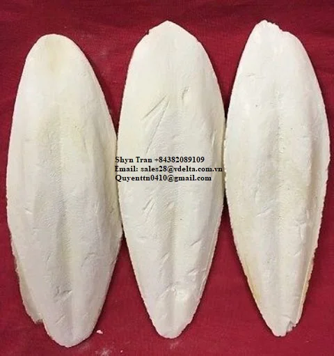 Supplying Dried Cuttlefish Bone With Many Size / Cuttlefish Bone / Shyn Tran +84382089109