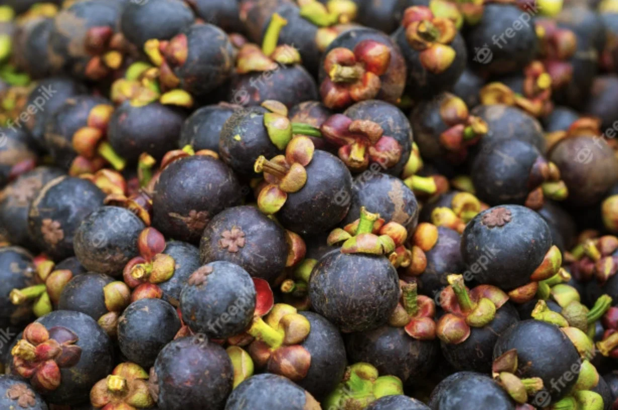 Mangosteen Fresh Organic Fresh Mangosteens From Thailand Fresh Natural MANGOSTEEN