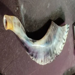 Редкий очень большой легкий натуральный гудок Shofar по подходящей