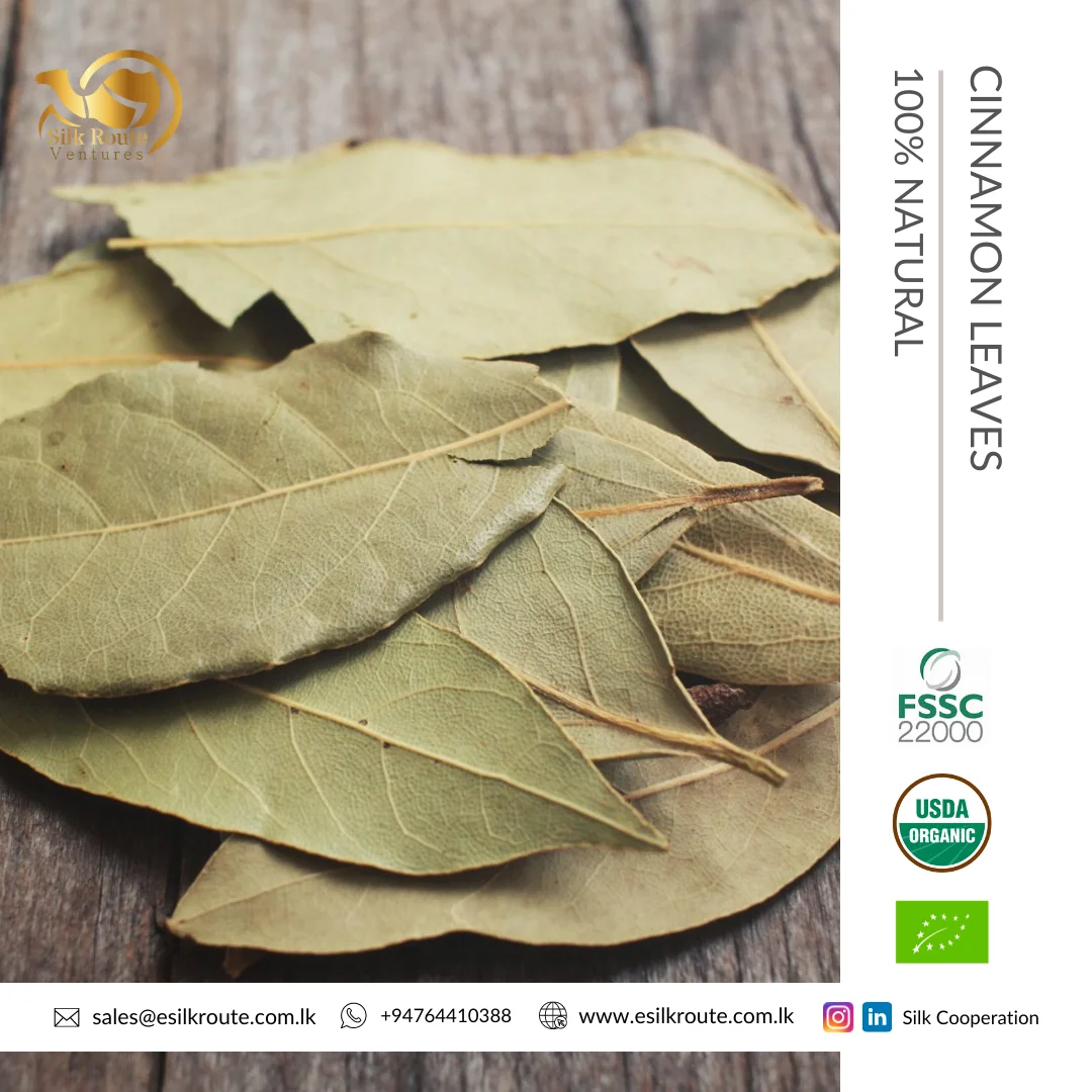 Превосходное качество 100% чистый органический сушеный лист корицы по низкой рыночной цене