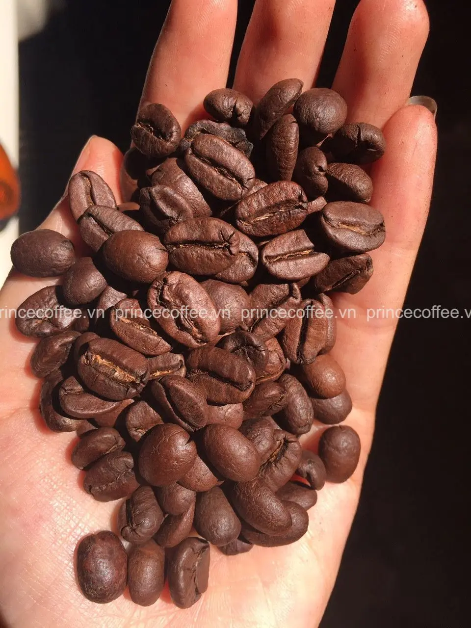 Оптовая продажа 18 жареных кофейных бобов scr Вьетнам Robusta Arabica жареная смесь