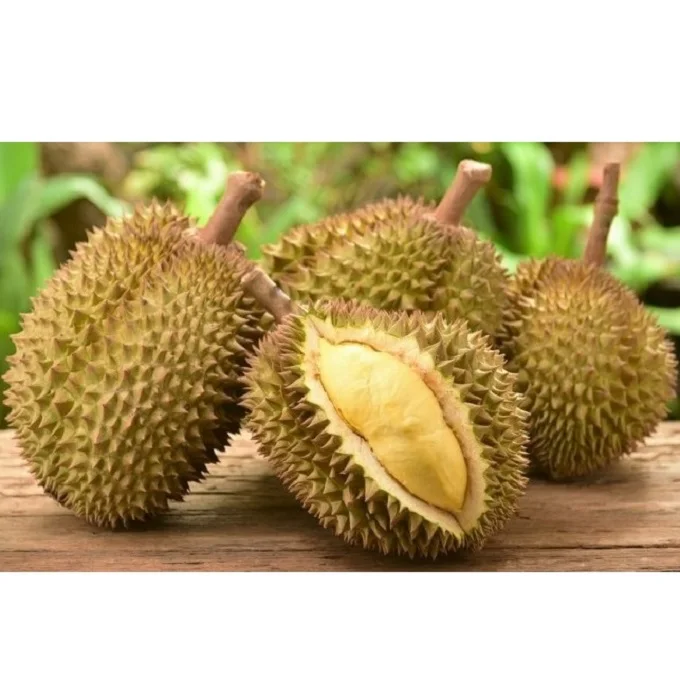 
Sweet and Fresh MonThong Durian fruit thailand With Weight 2 - 4 kgs and Size 20 - 30 cm 