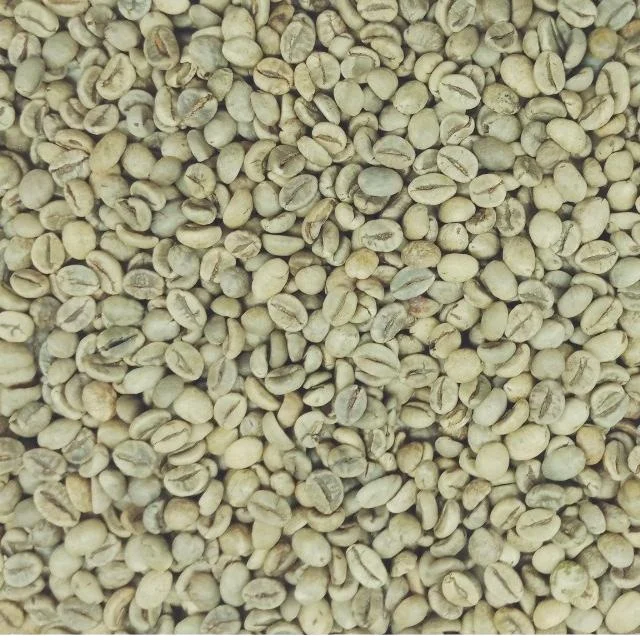Вьетнамский КОФЕ ROBUSTA, Зеленые зерна, высокое качество, Лучшая цена