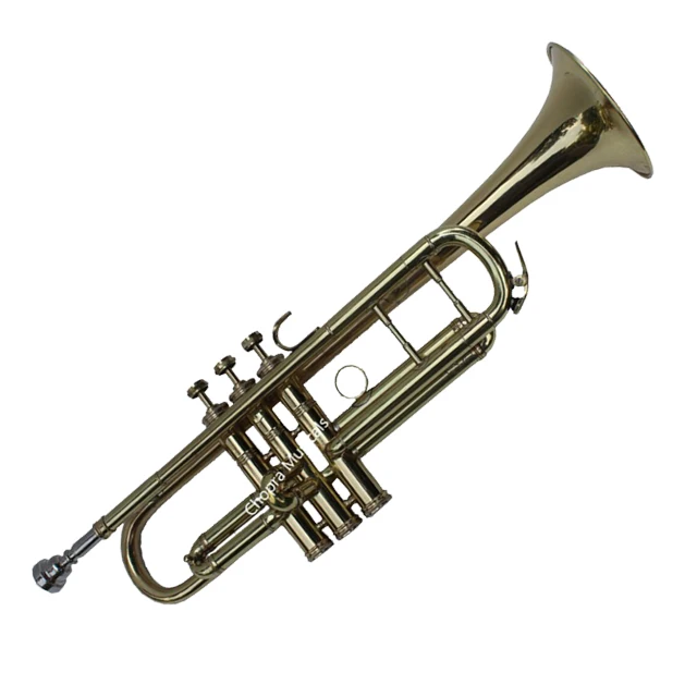 Metal Crafts 100% Brass  Trumpet Bb Pitch Shinning Brass With Mouth Piece & Bag
