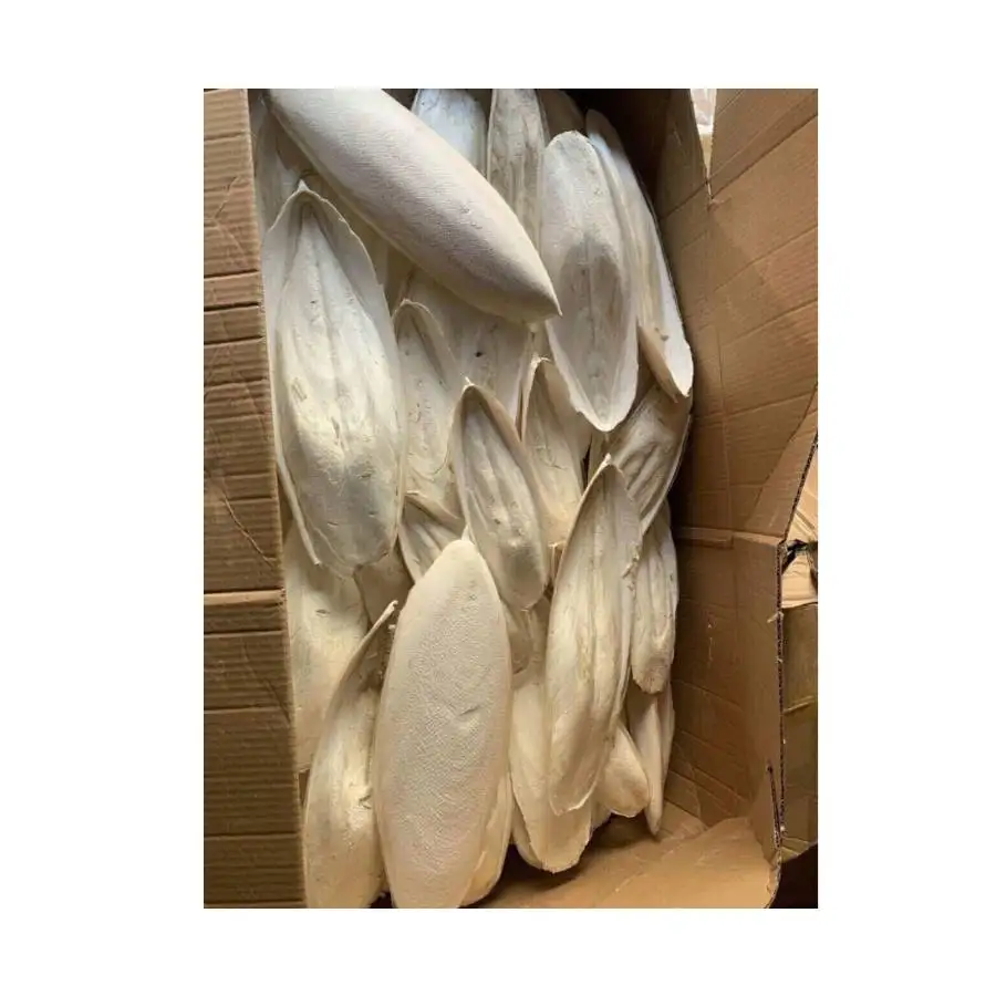 100% Natural Cuttlefish Cuttle Fish Bone Parrotts Birds feed EU Approval Number  (WS: 0084987731263)