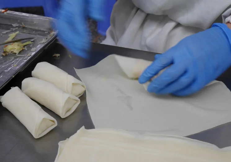 Лидер продаж оптовая продажа китайская еда карманные Пружинные рулоны для замороженных овощей