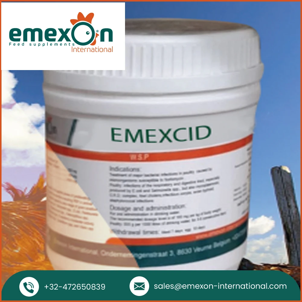 Organic Soil Acidifier Oral Liquid Supplement Acidifier Emexcid for Animal Treatment and Health Care