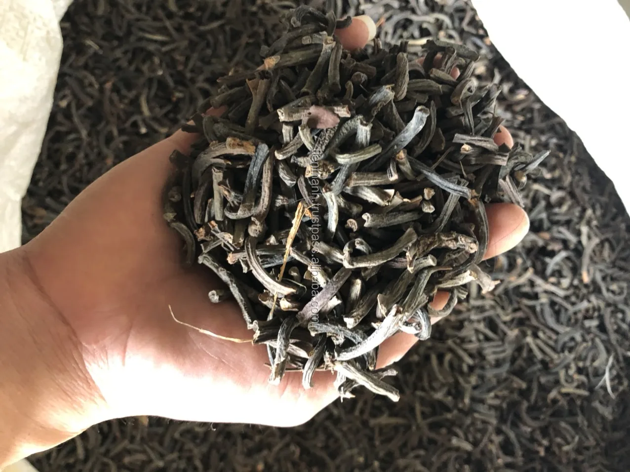 Dried Leaf Stem Cinnamon Cassia Make For Oriental medicine From Viet Nam