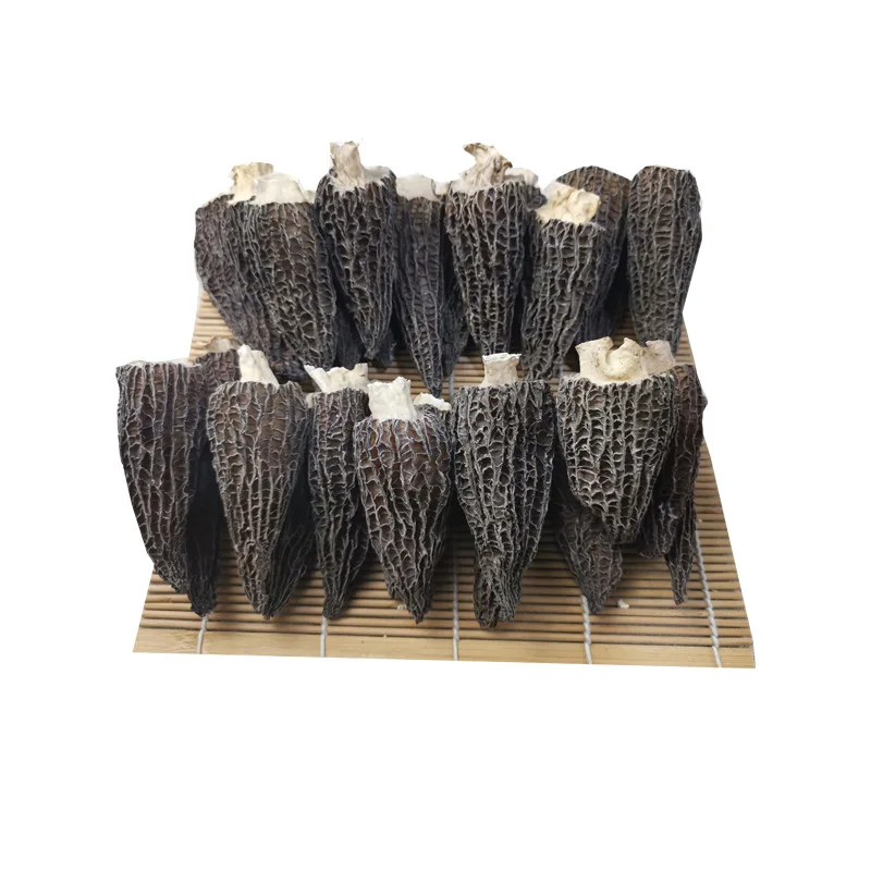  Detan 2020 New Season Supplying Great Texture Dry Morel Morchella