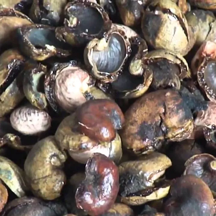 Cashew shell residue/Agricultural Waste/for animal feed in 2020 (50035086167)