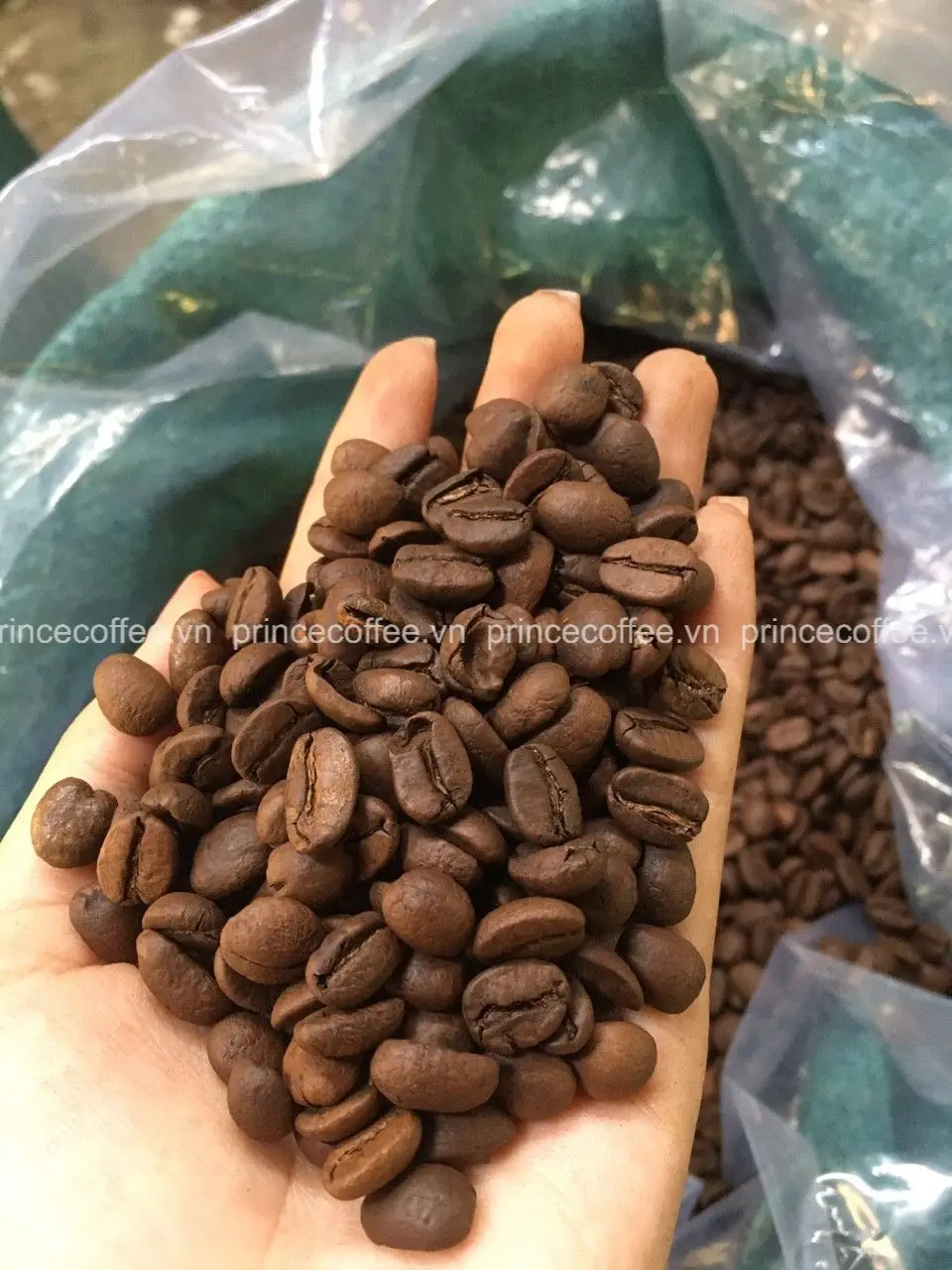  Новый продукт 18 scr арабика кофе жареные бобы оптовая продажа вьетнамская жареная смесь кофейных