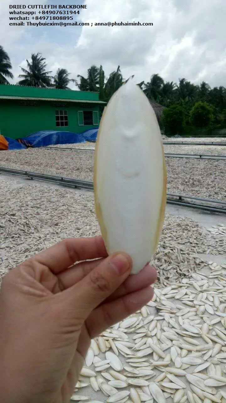 Высококачественная вьетнамская косточка Для сушеных морских слепков для игрушек домашних животных упакованная по индивидуальному заказу