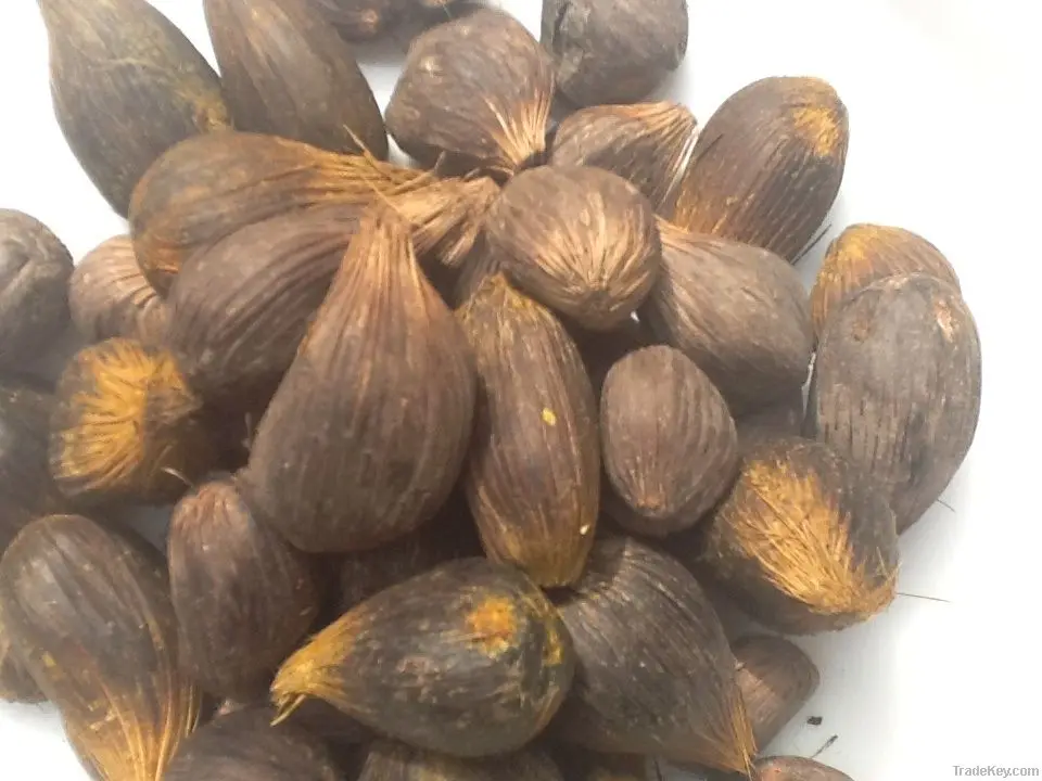 
Palm Nuts - Palm Kernels Nuts, Palm Kernel Shells wholesale 
