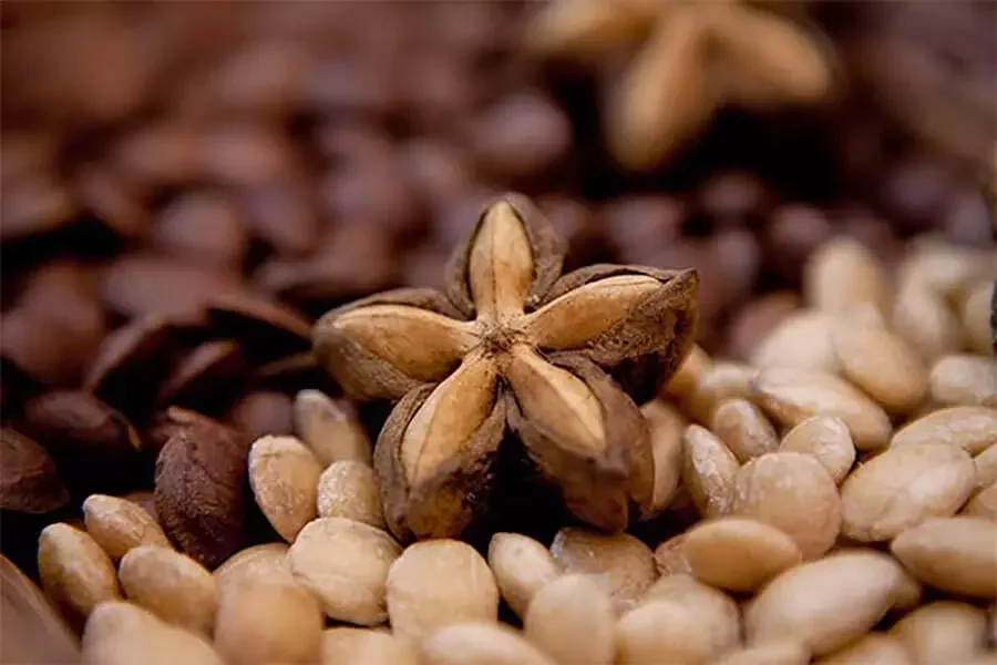 Вьетнамский сушеный Саша Инчи высокого качества по низкой цене-LOUIS H + 84943481858