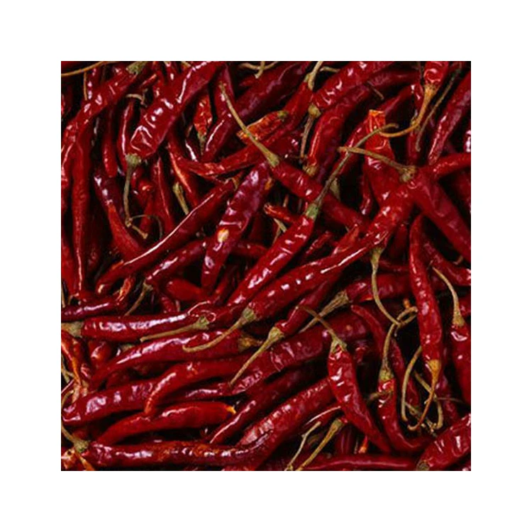 High Quality Wholesale Single Spices Dried Hot Red Chili from Reliable Supplier