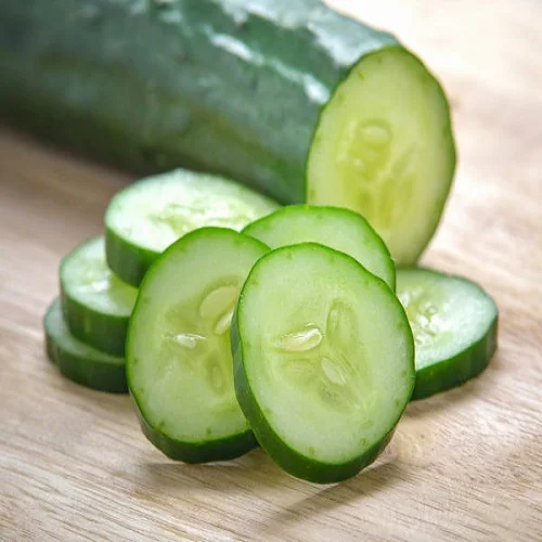 Fresh vegetable cucumber organic wholesale high quality healthy fresh cucumber