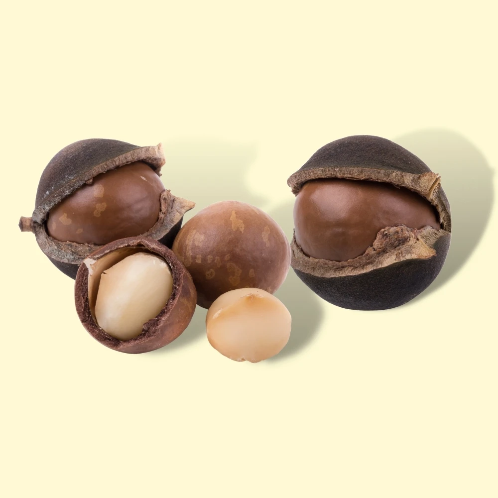  Качественные жареные орехи макадамии обычные macca и закуски из ядра экстракт Маки