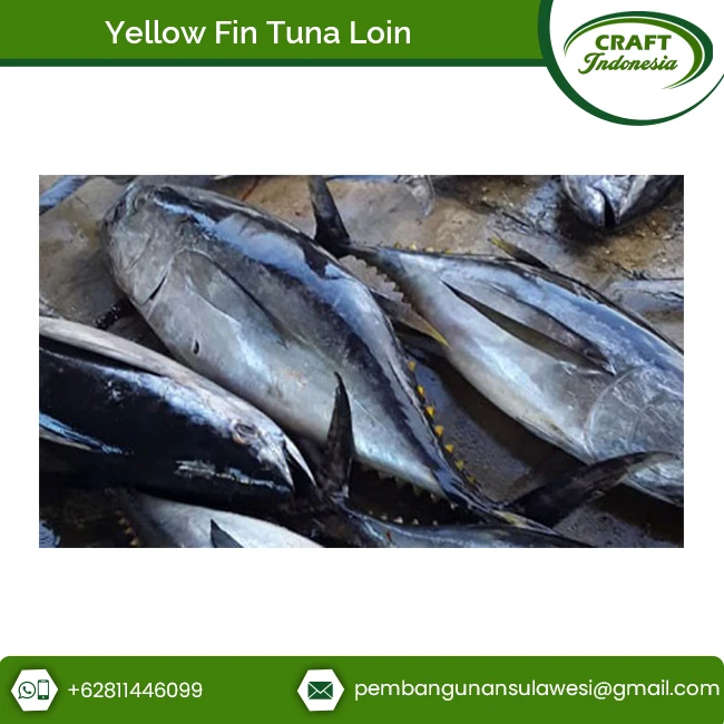 Bulk Exporter Of Loin Yellow Fin Tuna Fish From Indonesia