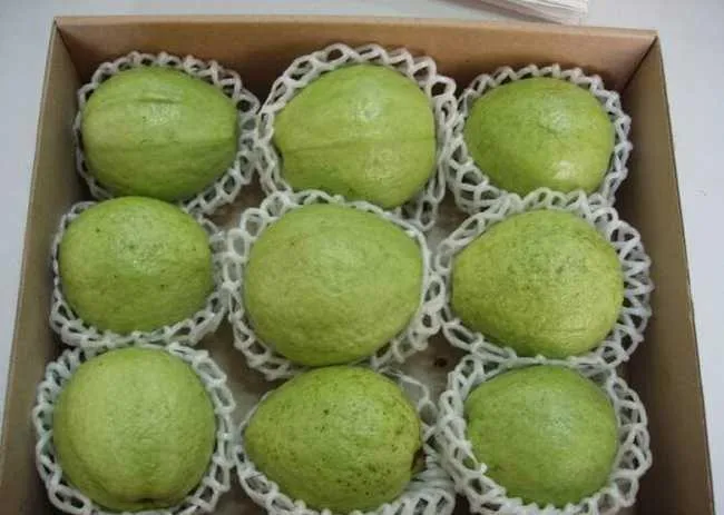 Свежие вкусные сладкие фрукты гуава без семян