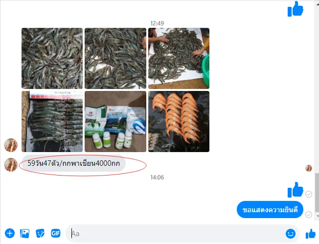 Aquaculture feed additives Runeon II Bile Acids  for shrimp growth perfomance promoter