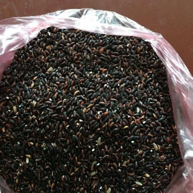 
Organic Black Rice// Sticky Rice// Glutinous Rice (Cheap Price)- Ms. Akina 